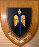 WGS shield with torch